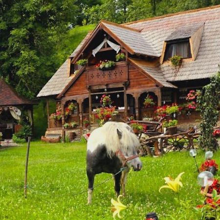 Pensiunea Rustic Oncesti Dış mekan fotoğraf