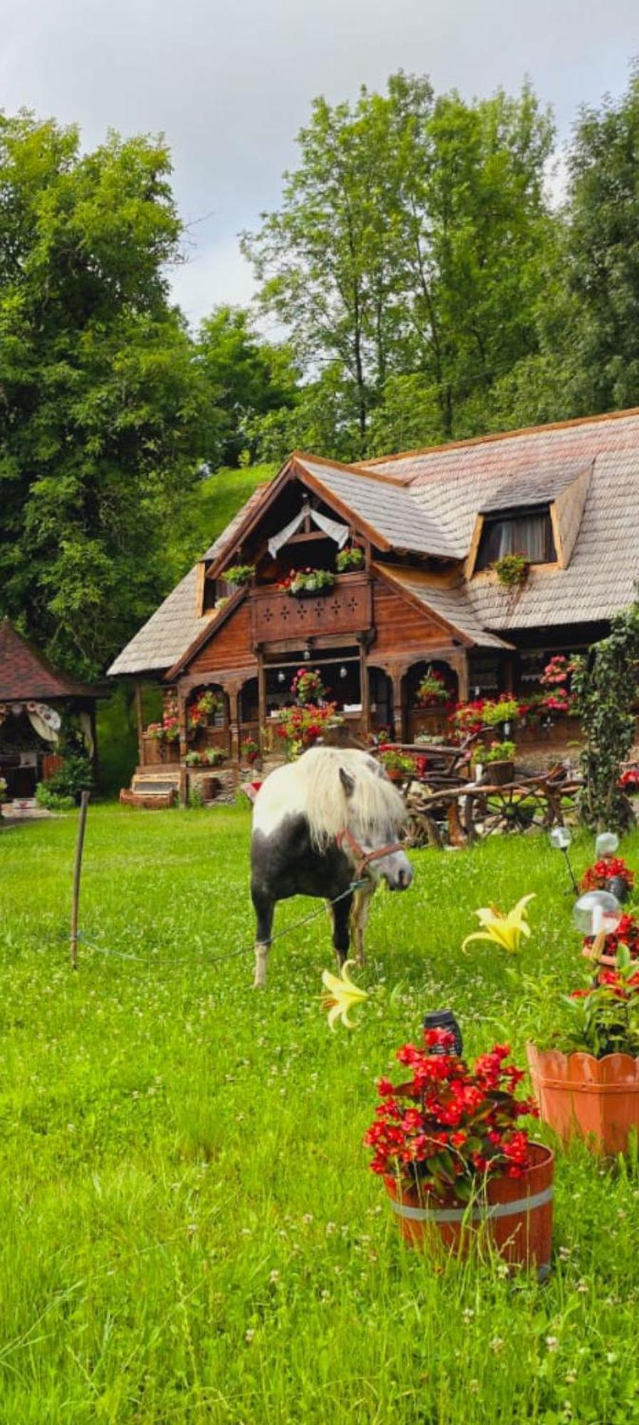 Pensiunea Rustic Oncesti Dış mekan fotoğraf