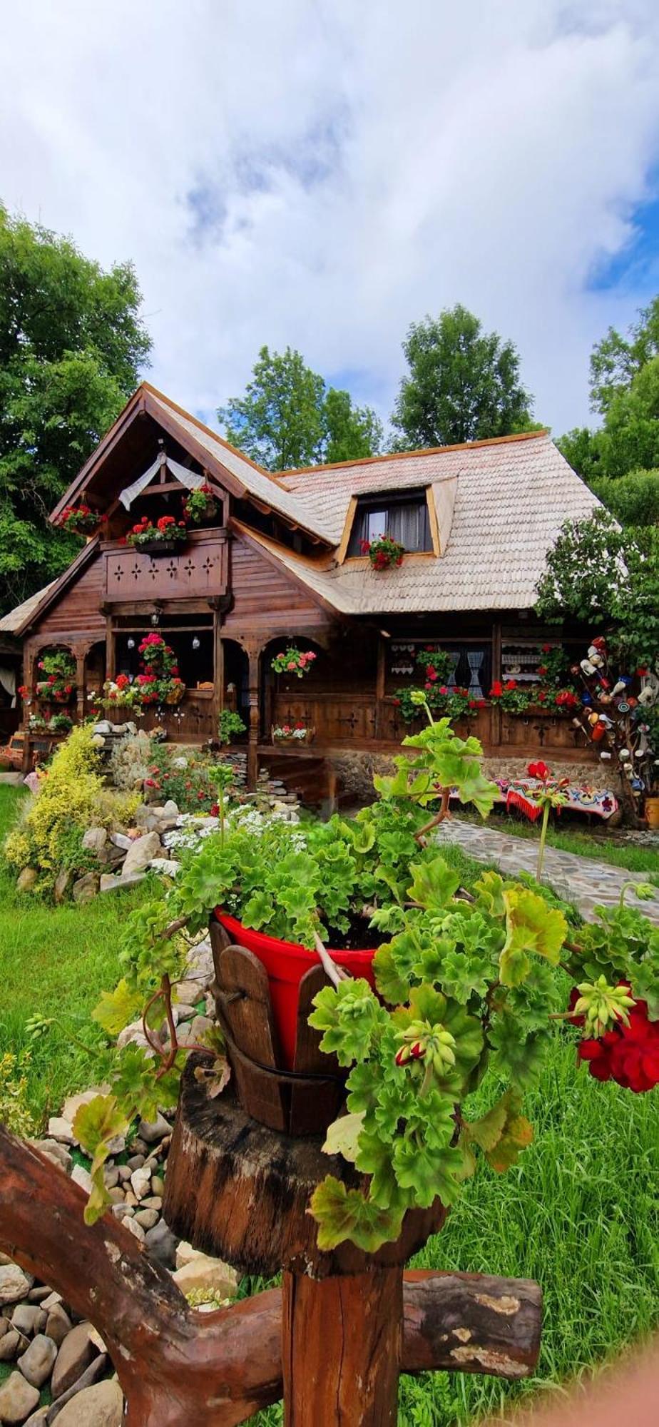 Pensiunea Rustic Oncesti Dış mekan fotoğraf